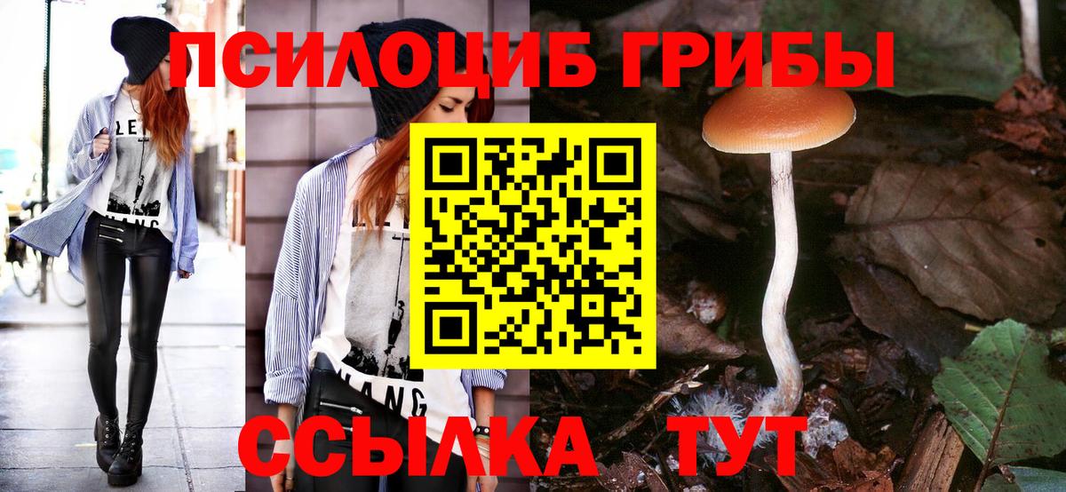 Волжск  Псилоцибиновые грибы Magic Shrooms  хочу   Галлюциногенные грибы прущие грибы  Вход с VPN 